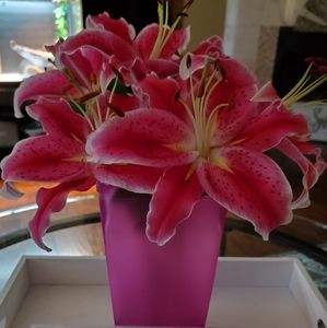 Meet your Posher, Annette